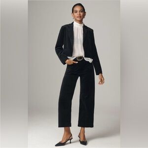 Anthropologie The Colette Cropped Wide-Leg Pants Velvet Edition Size 27 NWT